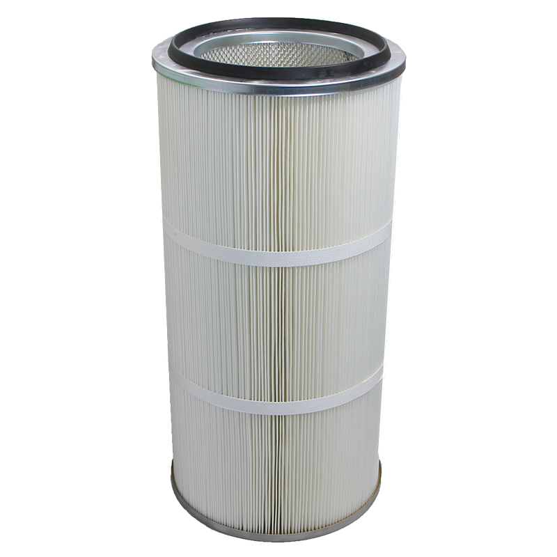 Cartouche filtrante pour filtre à cartouche exterieur 5,6m3/h. : TRIGANO  Store